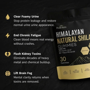 Premium Shilajit Gummies - 3000mg Kidney Cleanse & Vitality